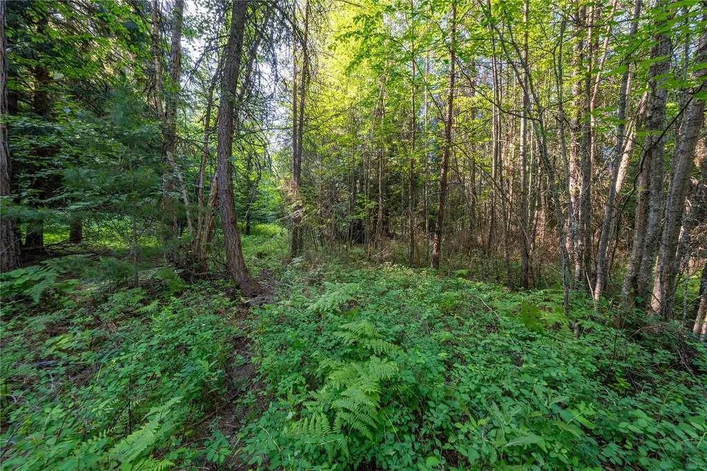 Tbd E Dent Avenue Troy MT 59935