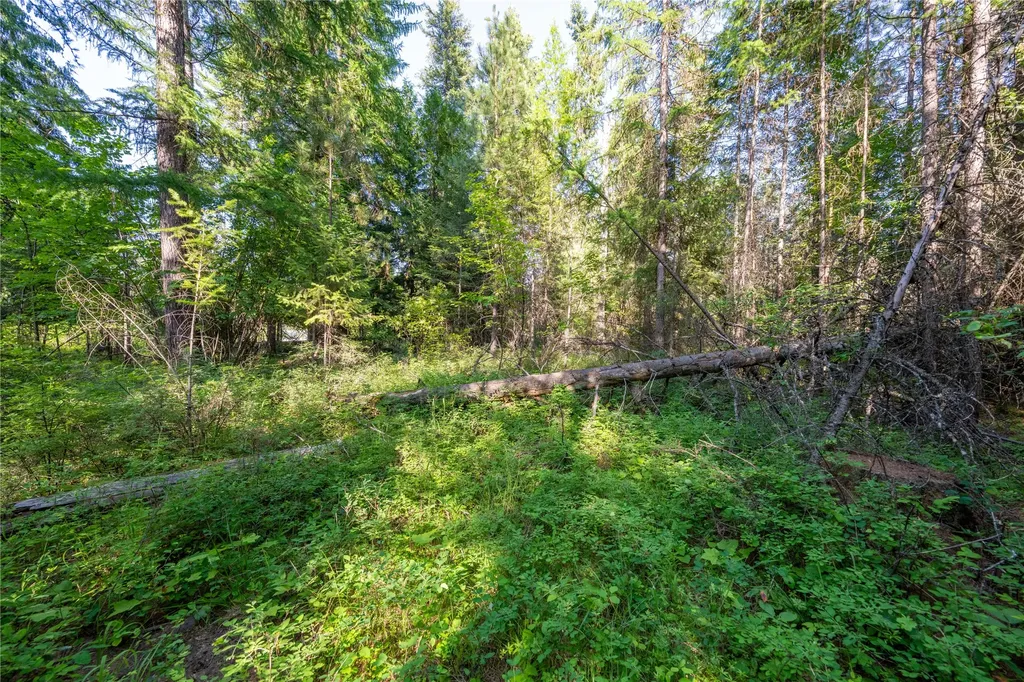 Tbd E Dent Avenue Troy MT 59935