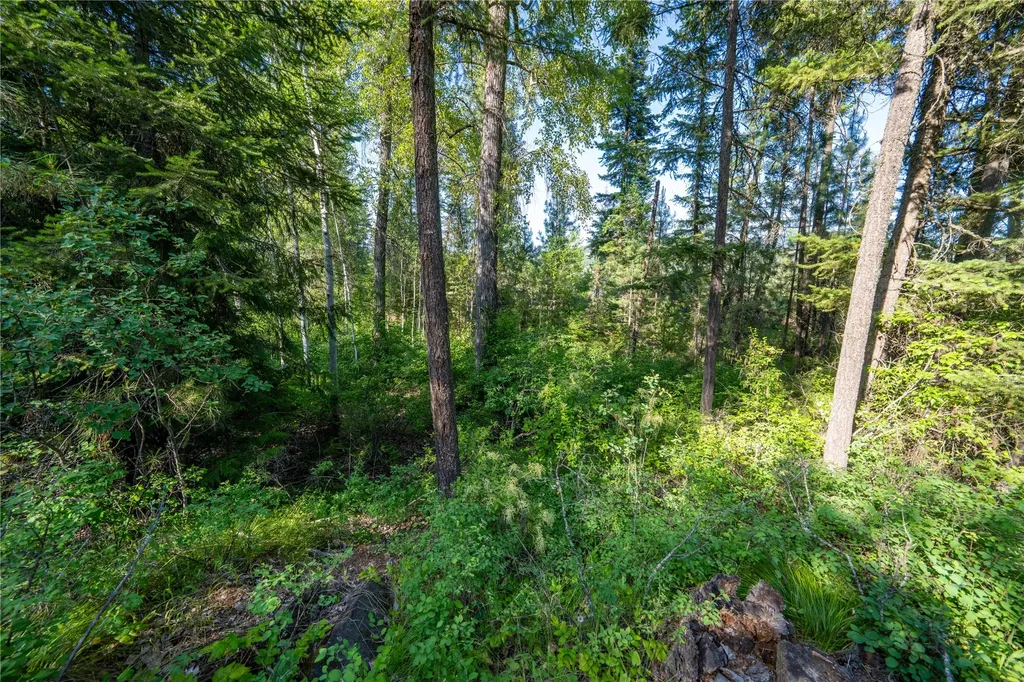 Tbd E Dent Avenue Troy MT 59935