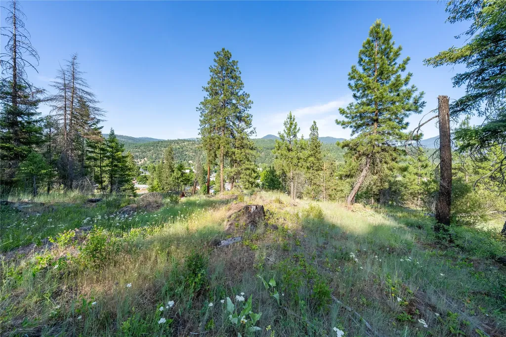 Tbd E Dent Avenue Troy MT 59935