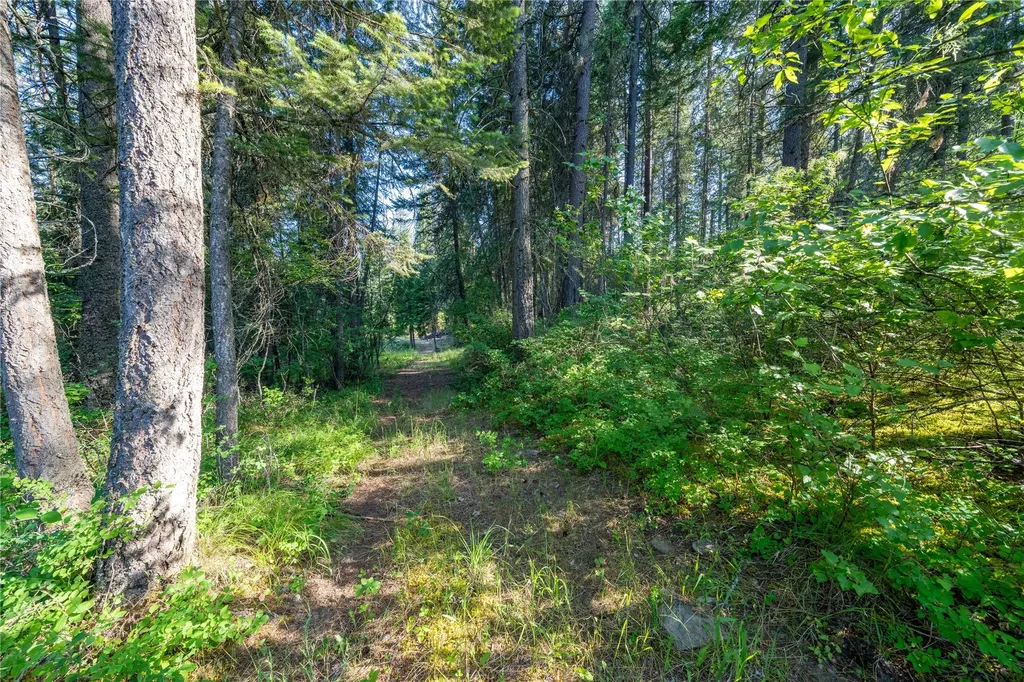 Tbd E Dent Avenue Troy MT 59935