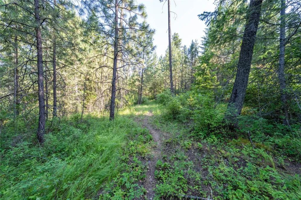 Tbd E Dent Avenue Troy MT 59935