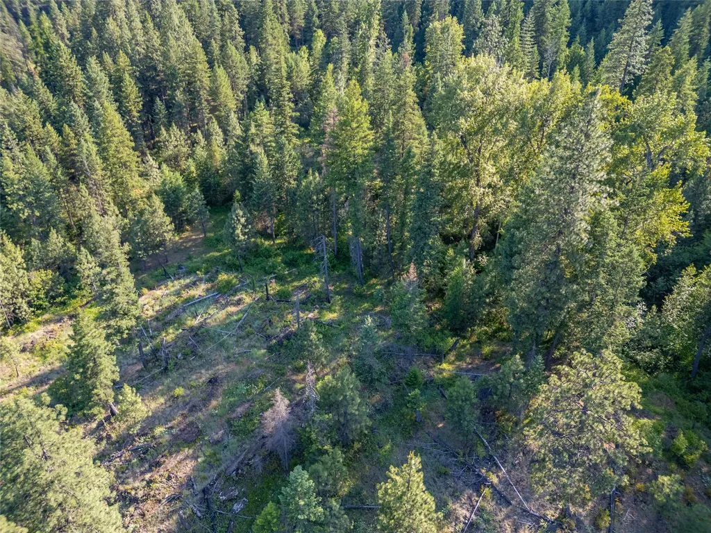 Tbd E Dent Avenue Troy MT 59935