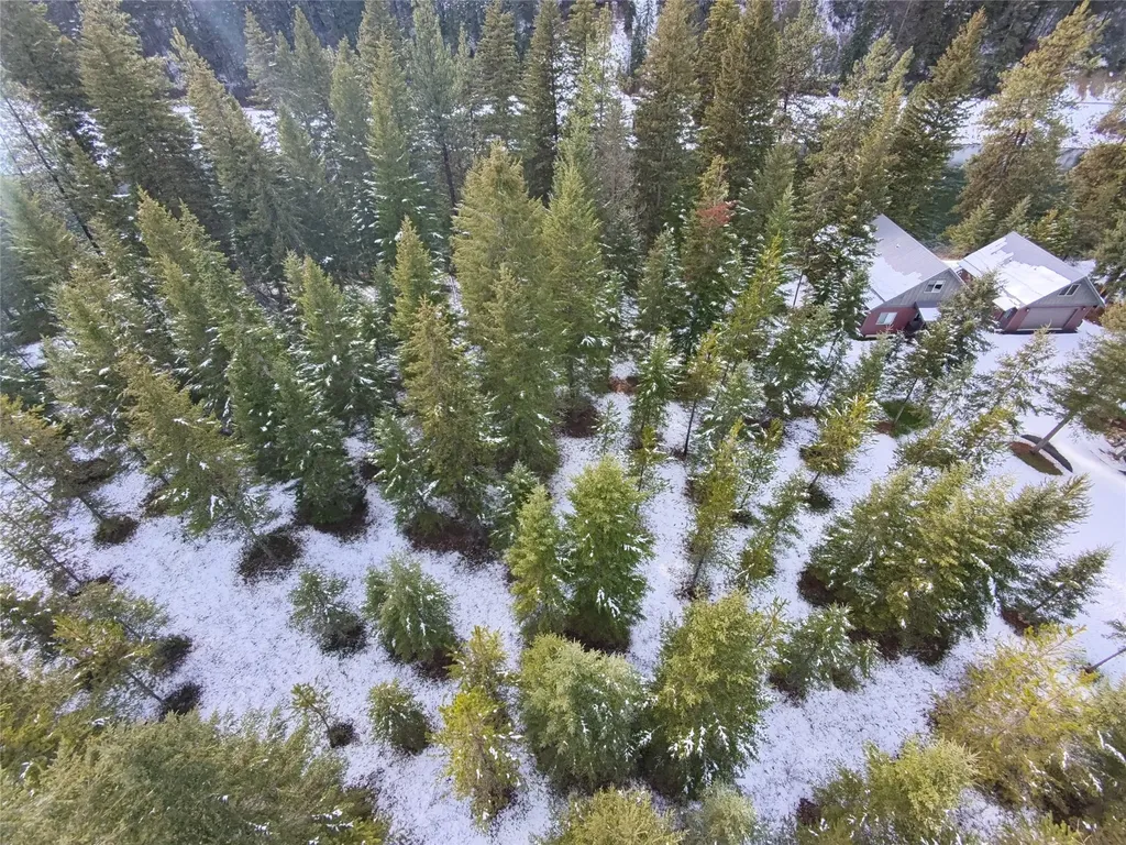 77 Trestle Creek Drive St Regis MT 59866