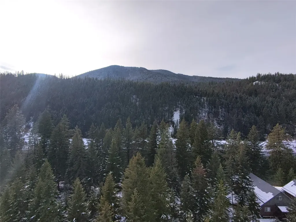 77 Trestle Creek Drive St Regis MT 59866