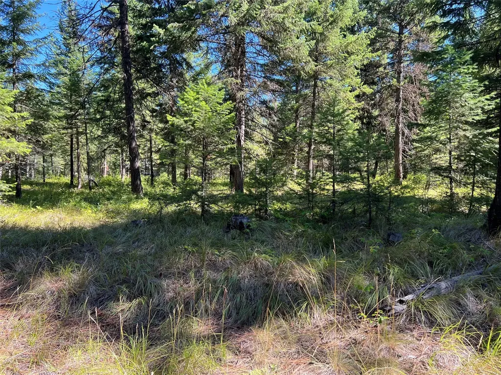 77 Trestle Creek Drive St Regis MT 59866