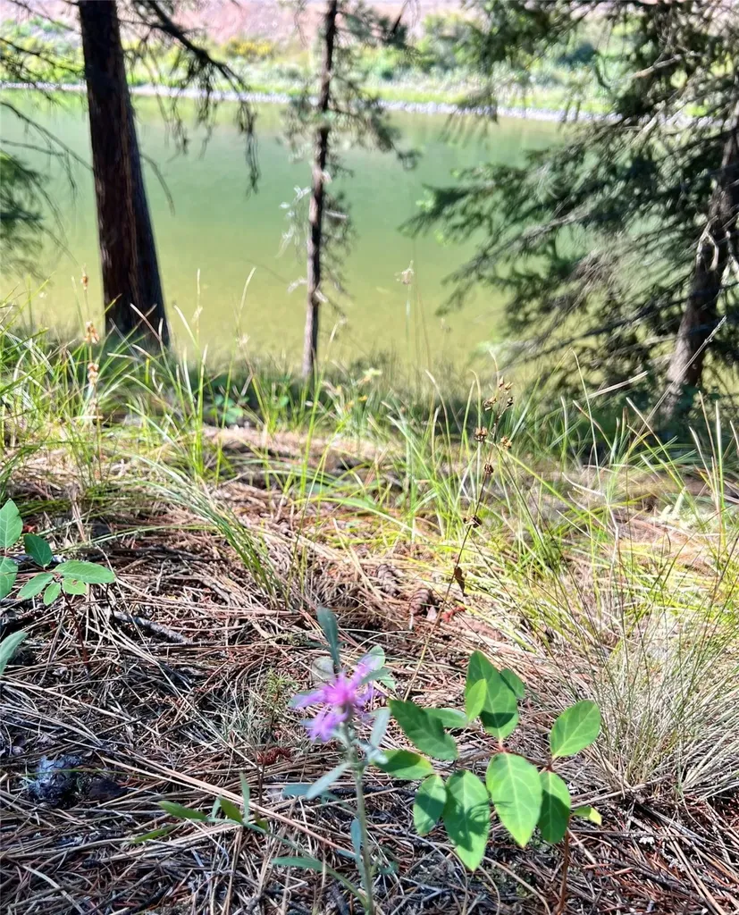 77 Trestle Creek Drive St Regis MT 59866