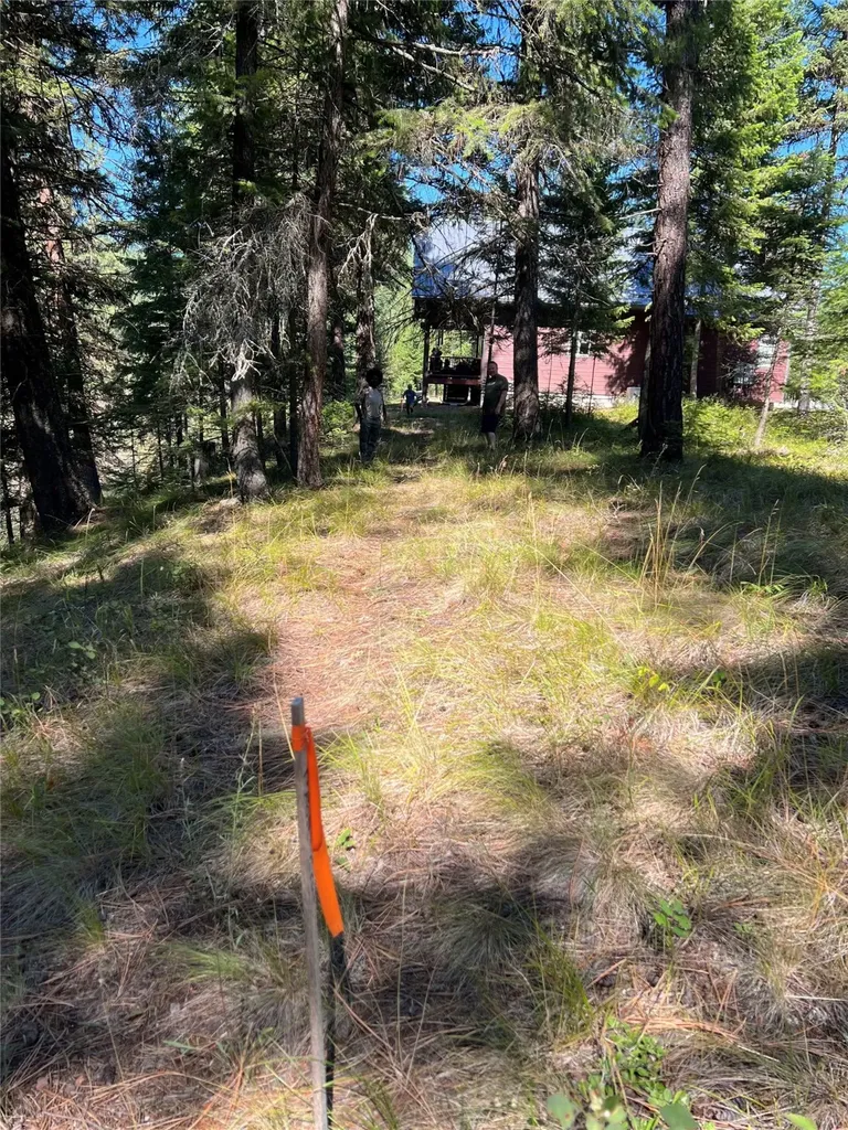77 Trestle Creek Drive St Regis MT 59866