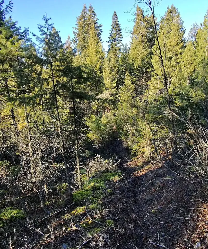 34781 Compass Lane Polson MT 59860