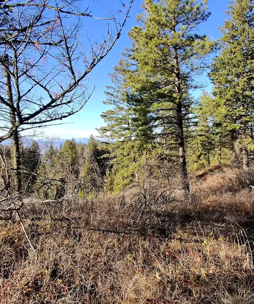 34781 Compass Lane Polson MT 59860