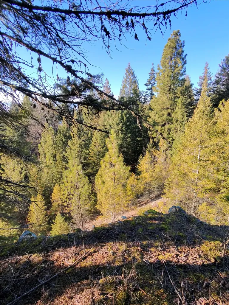 34781 Compass Lane Polson MT 59860