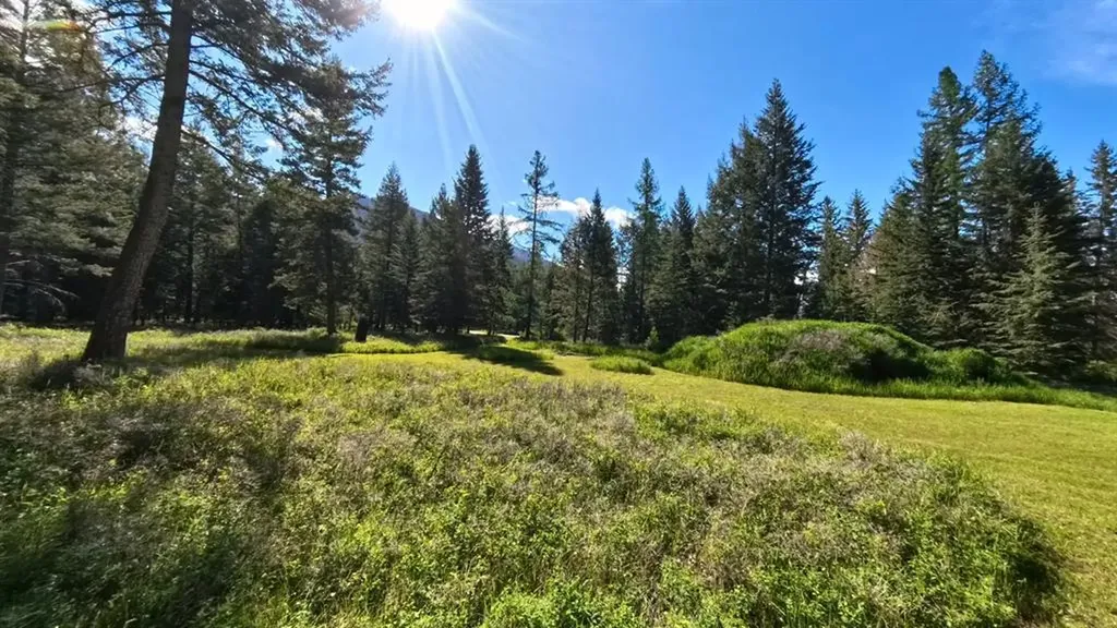 9 Tranquil Trail Columbia Falls MT 59912