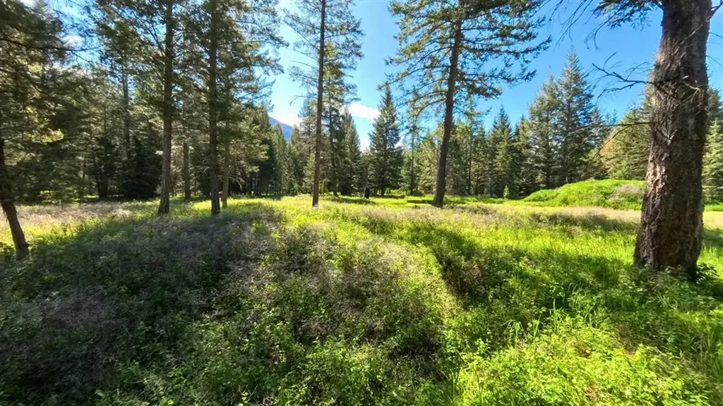 9 Tranquil Trail Columbia Falls MT 59912