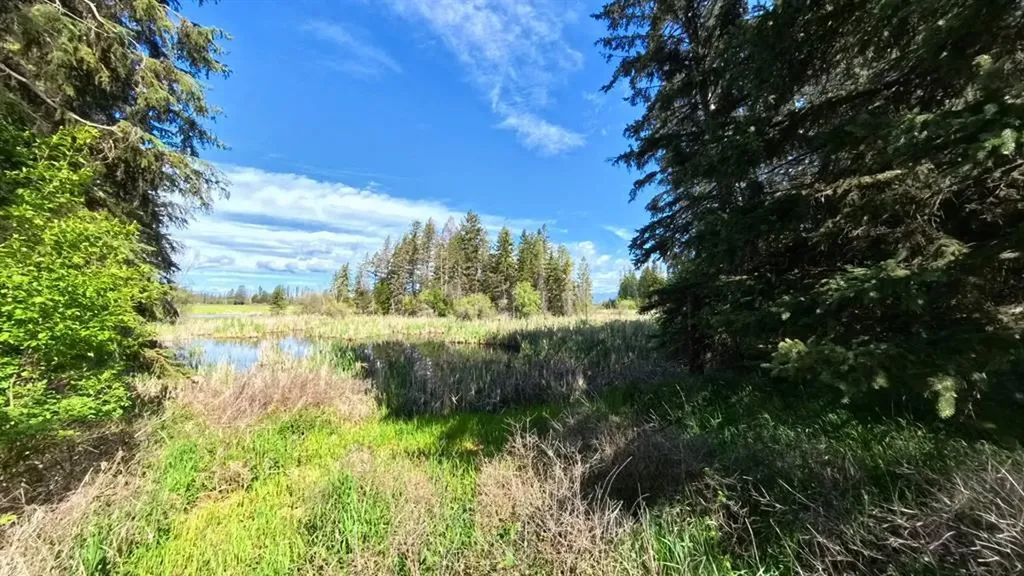 9 Tranquil Trail Columbia Falls MT 59912