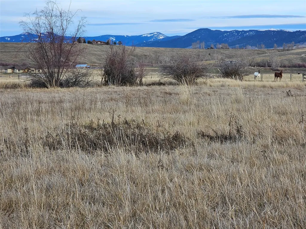 Nhn Grant Lane Hamilton MT 59840