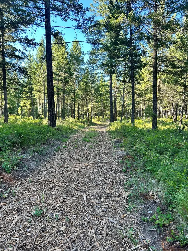 Tbd Eagle Run Drive Whitefish MT 59937