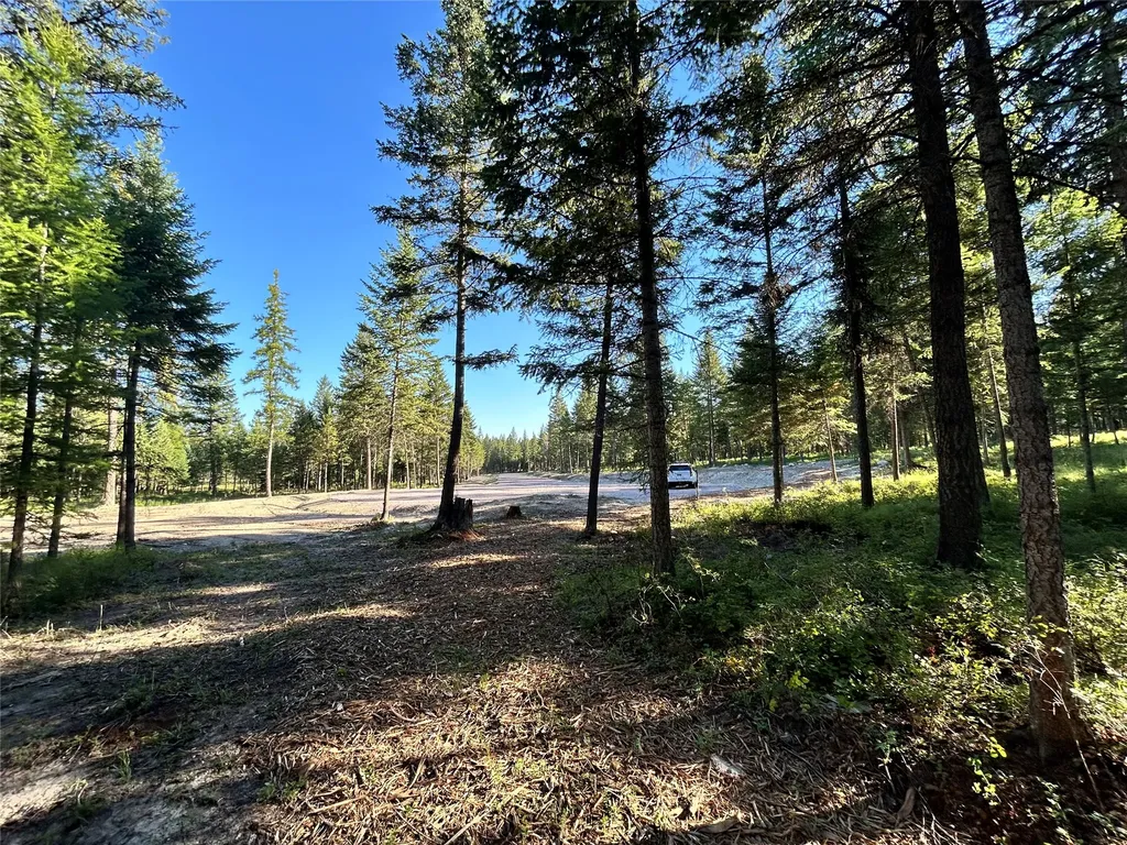 Tbd Eagle Run Drive Whitefish MT 59937
