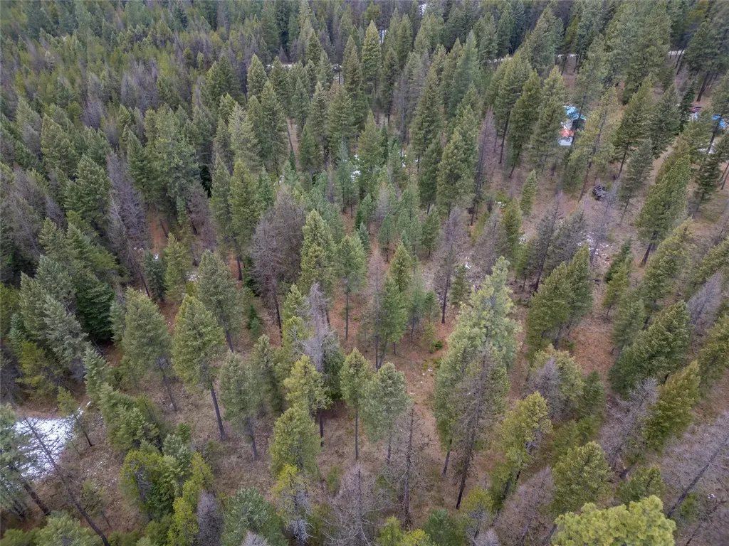 185 Forest Road Troy MT 59935