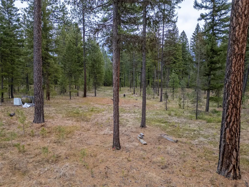 185 Forest Road Troy MT 59935