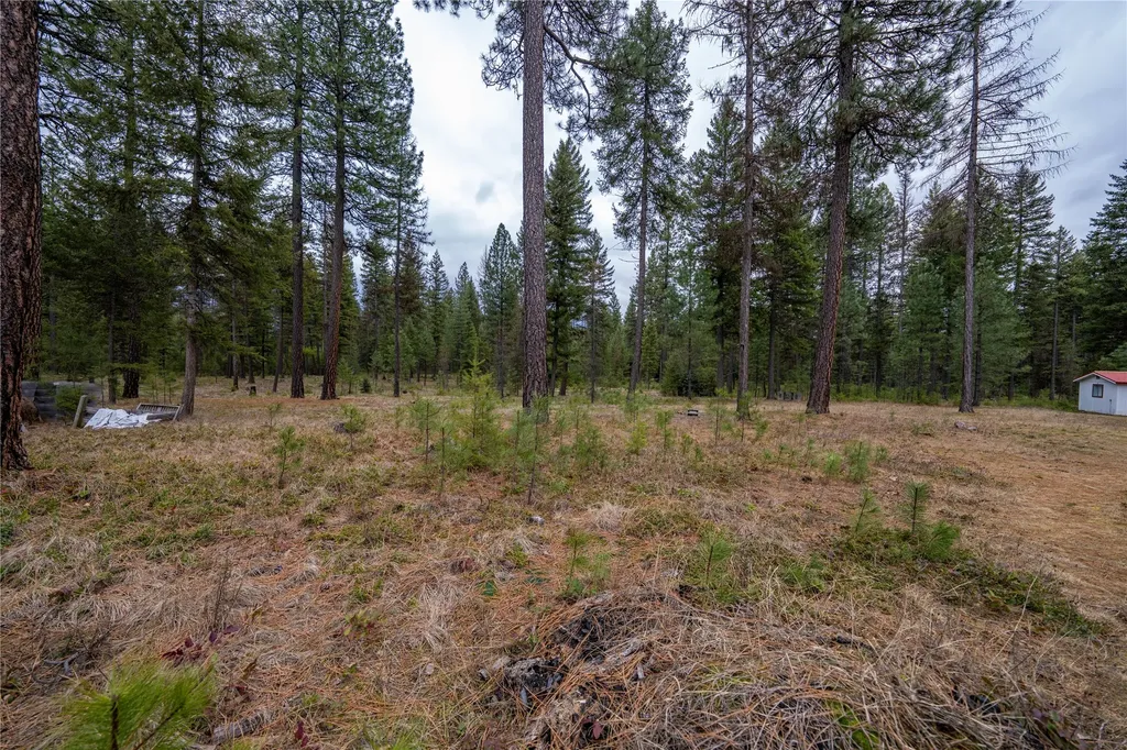 185 Forest Road Troy MT 59935