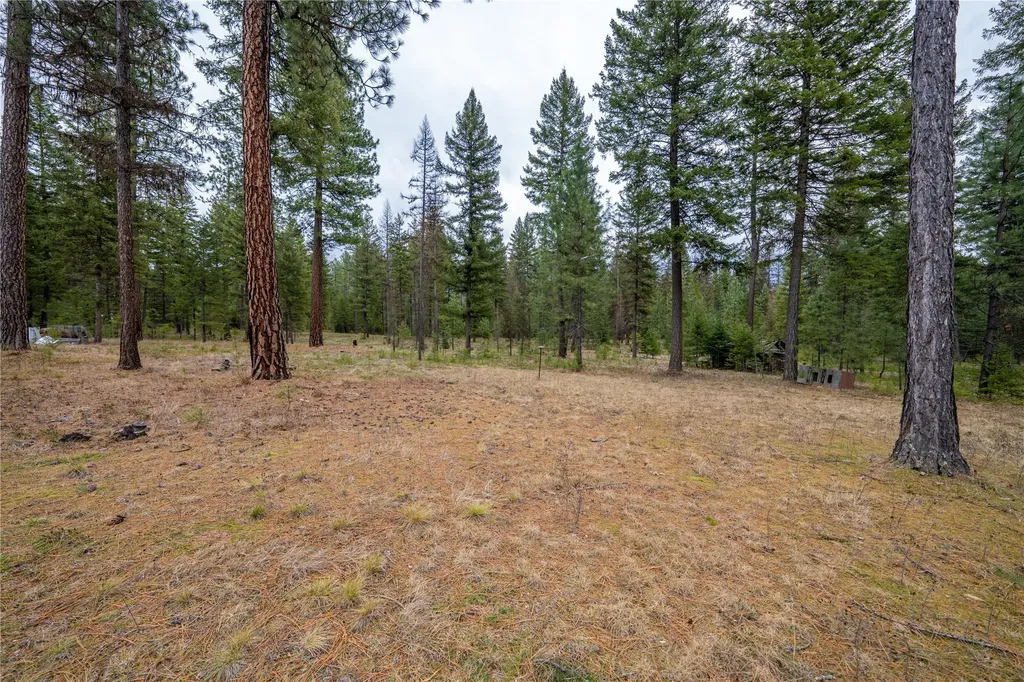 185 Forest Road Troy MT 59935