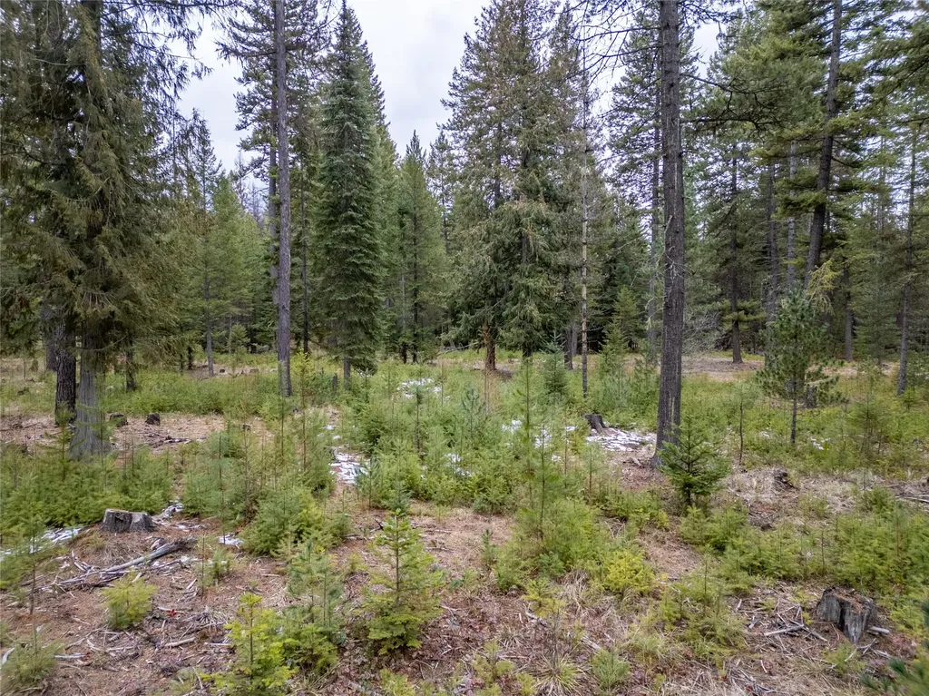 Tbd Forest Road Troy MT 59935