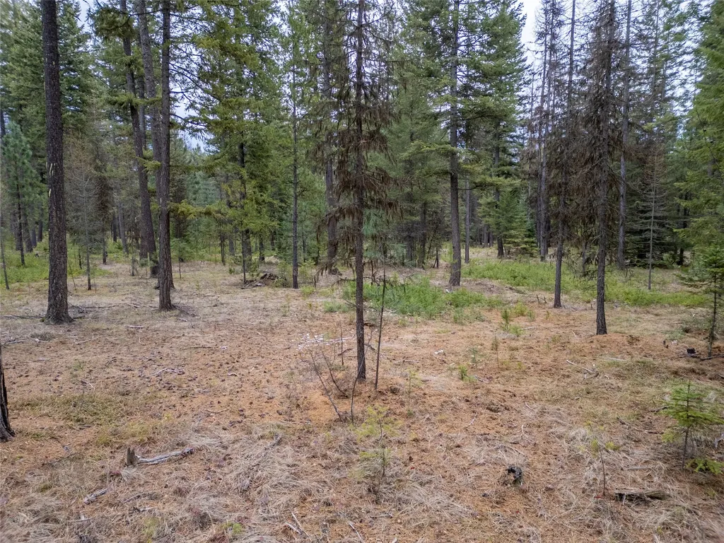 Tbd Forest Road Troy MT 59935