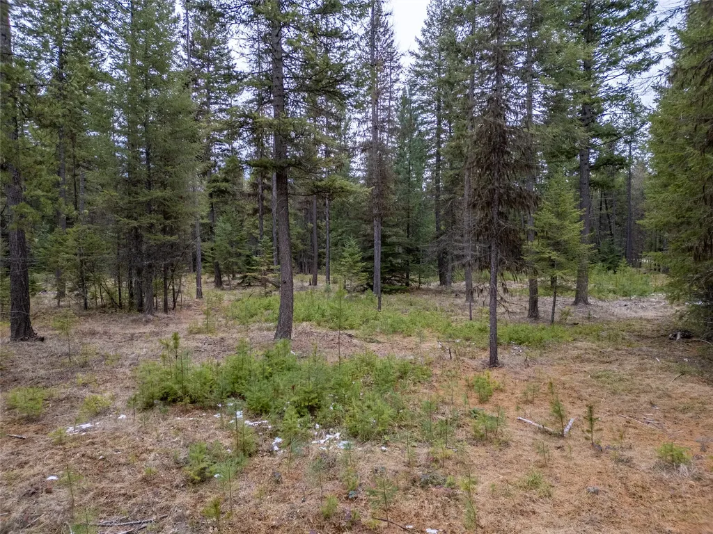 Tbd Forest Road Troy MT 59935