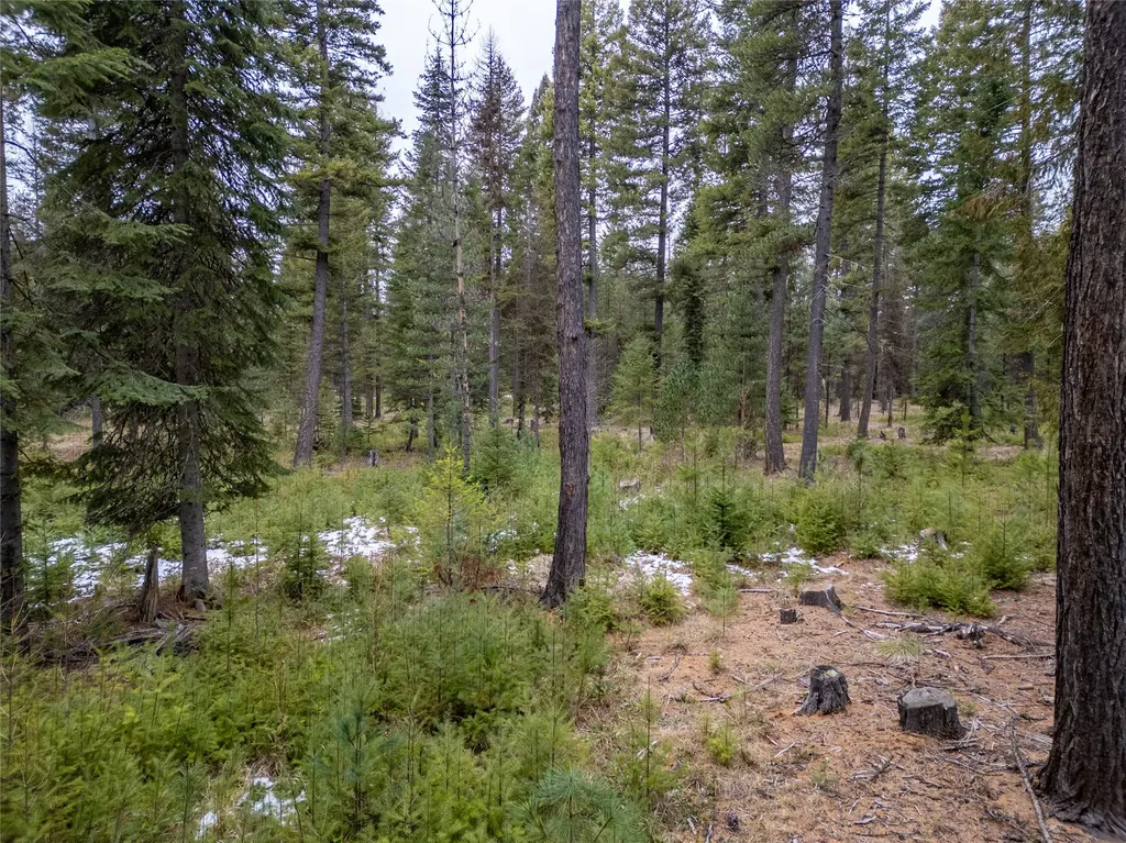 Tbd Forest Road Troy MT 59935