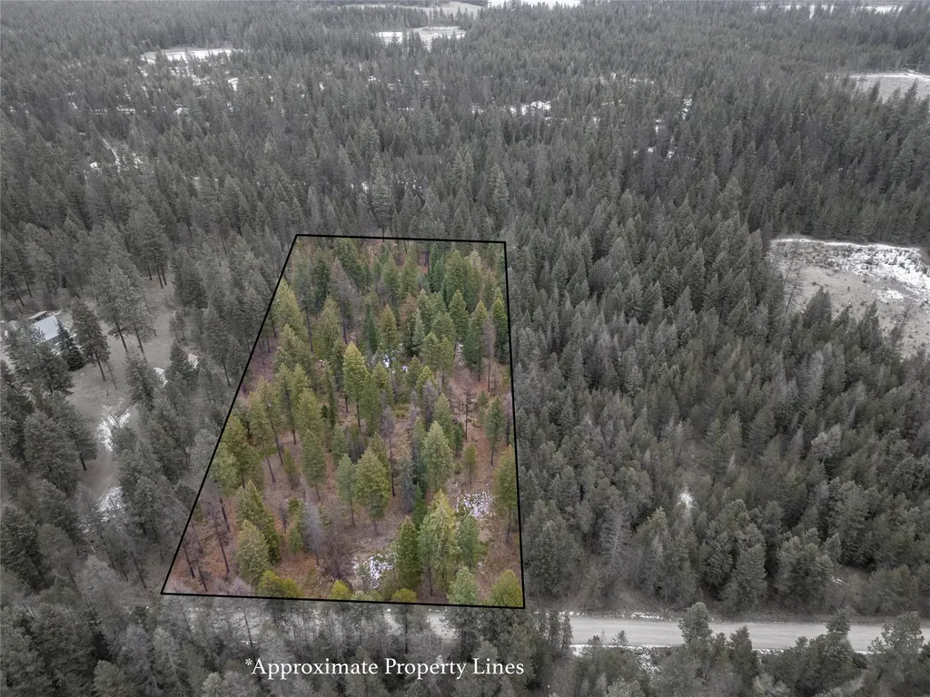 Tbd Forest Road Troy MT 59935