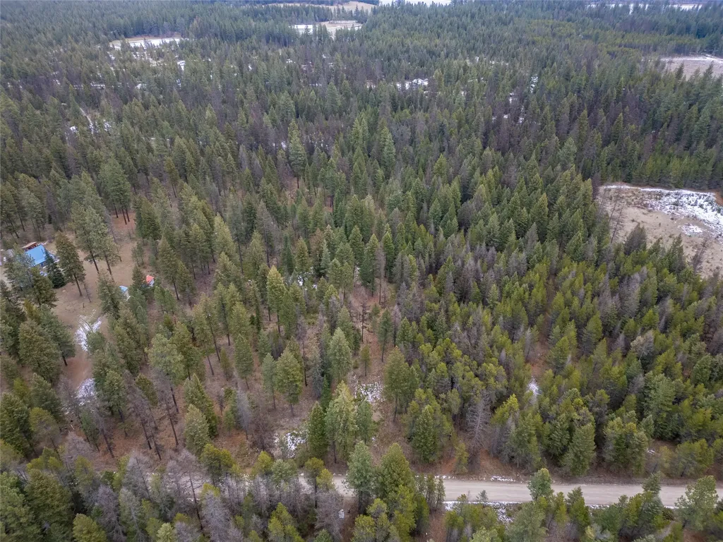 Tbd Forest Road Troy MT 59935