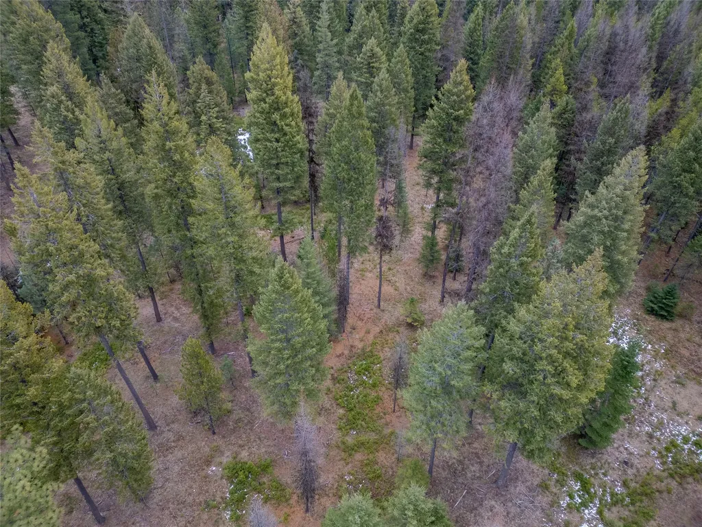 Tbd Forest Road Troy MT 59935