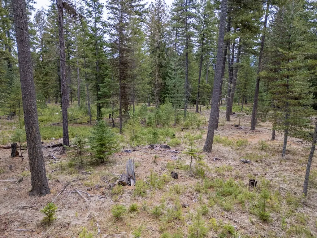 Tbd Forest Road Troy MT 59935