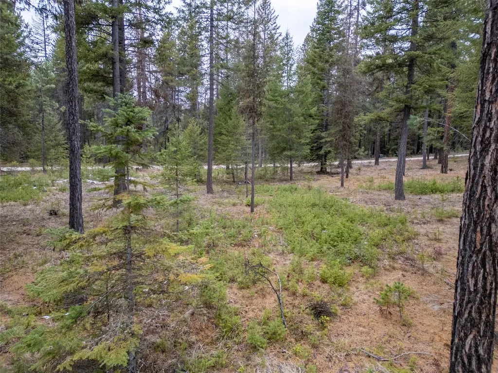 Tbd Forest Road Troy MT 59935