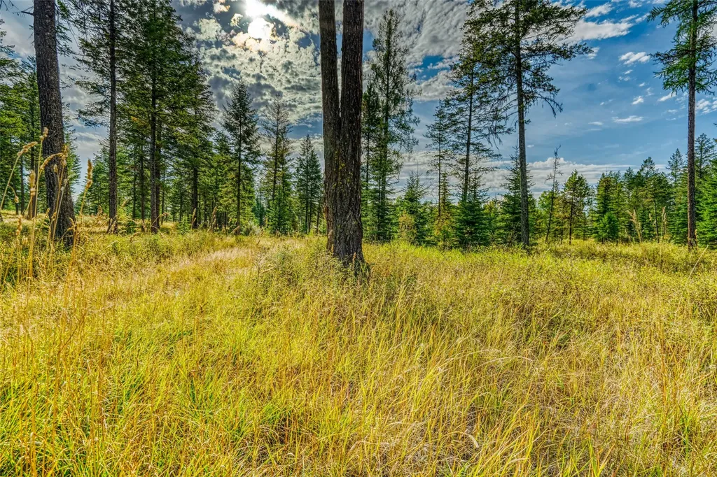 Tbd Eagle Run Drive Whitefish MT 59937