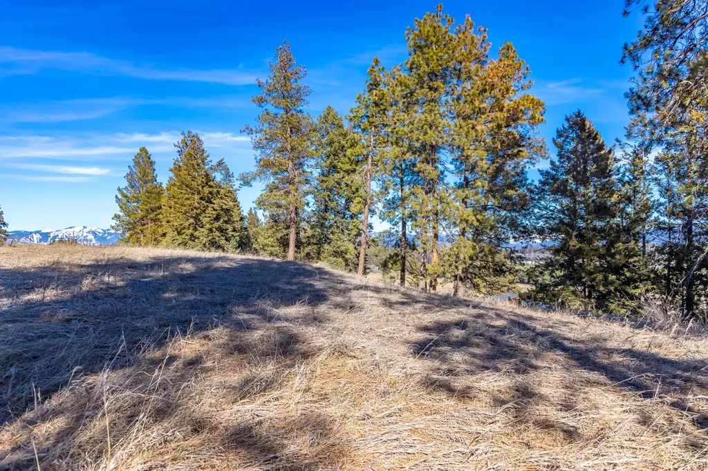 3501 Longwood Drive Kalispell MT 59901