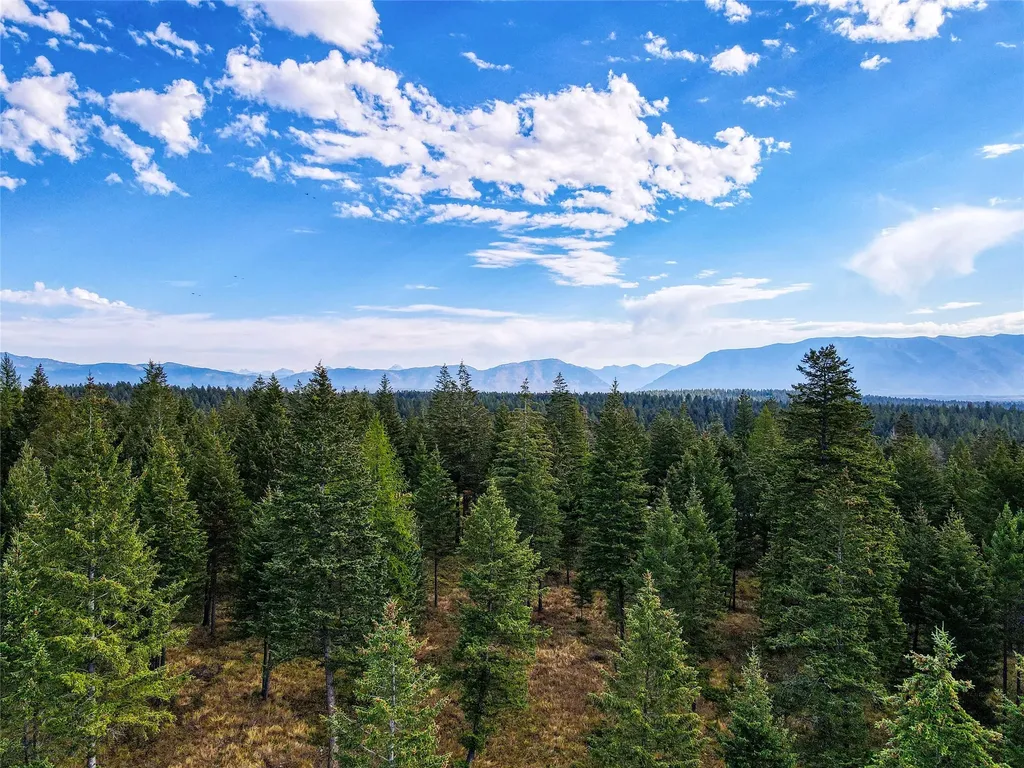 Tbd Eagle Run Drive Whitefish MT 59937