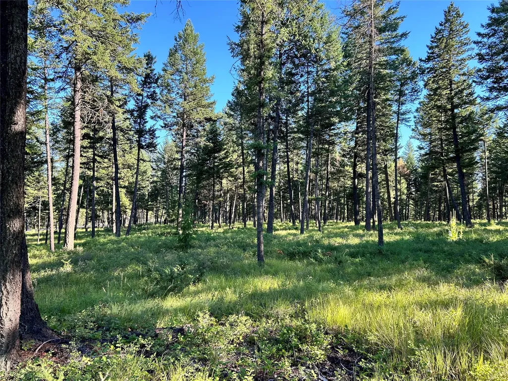 Tbd Eagle Run Drive Whitefish MT 59937