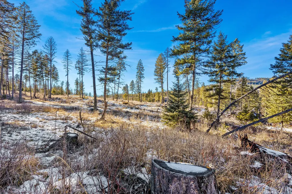 Nhn N Dayton Creek Road Proctor MT 59929