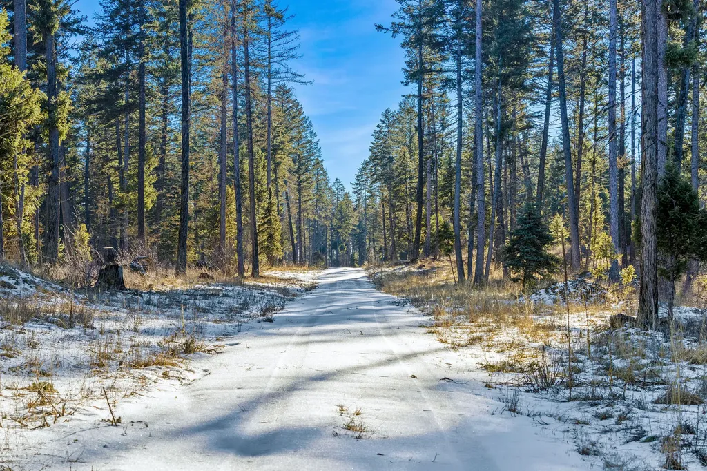 Nhn N Dayton Creek Road Proctor MT 59929