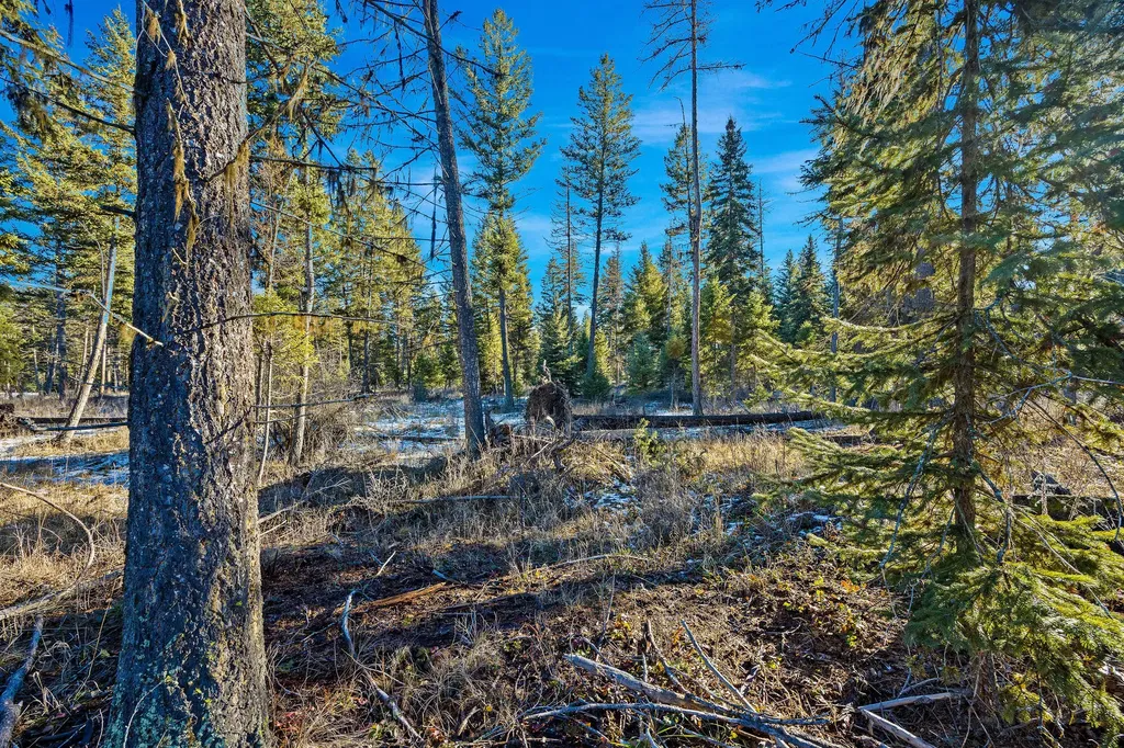 Nhn N Dayton Creek Road Proctor MT 59929