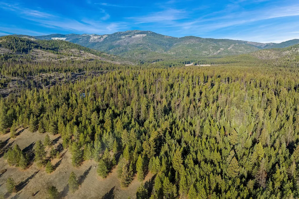 Nhn N Dayton Creek Road Proctor MT 59929