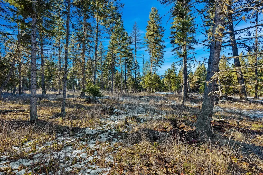 Nhn N Dayton Creek Road Proctor MT 59929