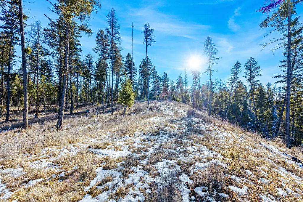 Nhn N Dayton Creek Road Proctor MT 59929