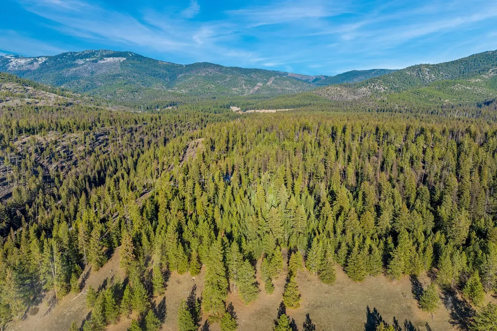 Nhn N Dayton Creek Road Proctor MT 59929