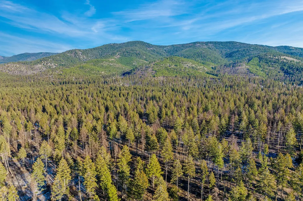 Nhn N Dayton Creek Road Proctor MT 59929