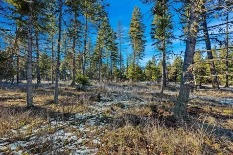 Nhn N Dayton Creek Road Proctor MT 59929