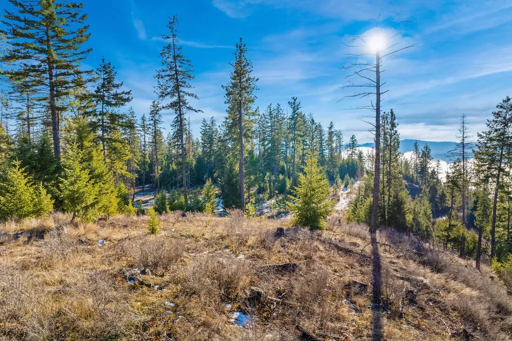 Nhn N Dayton Creek Road Proctor MT 59929