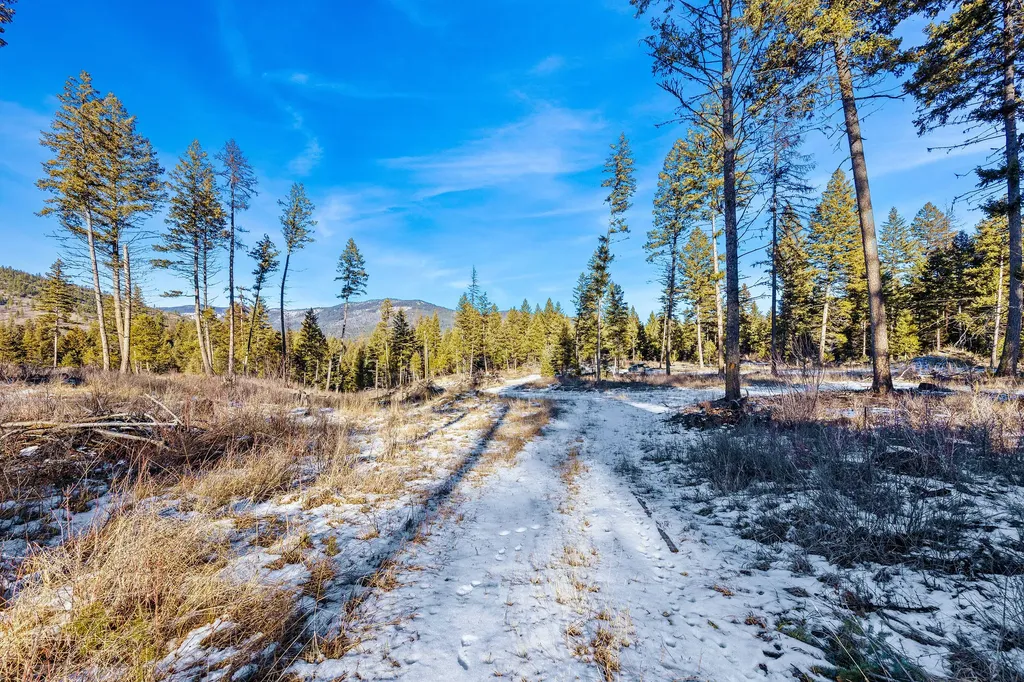 Nhn N Dayton Creek Road Proctor MT 59929