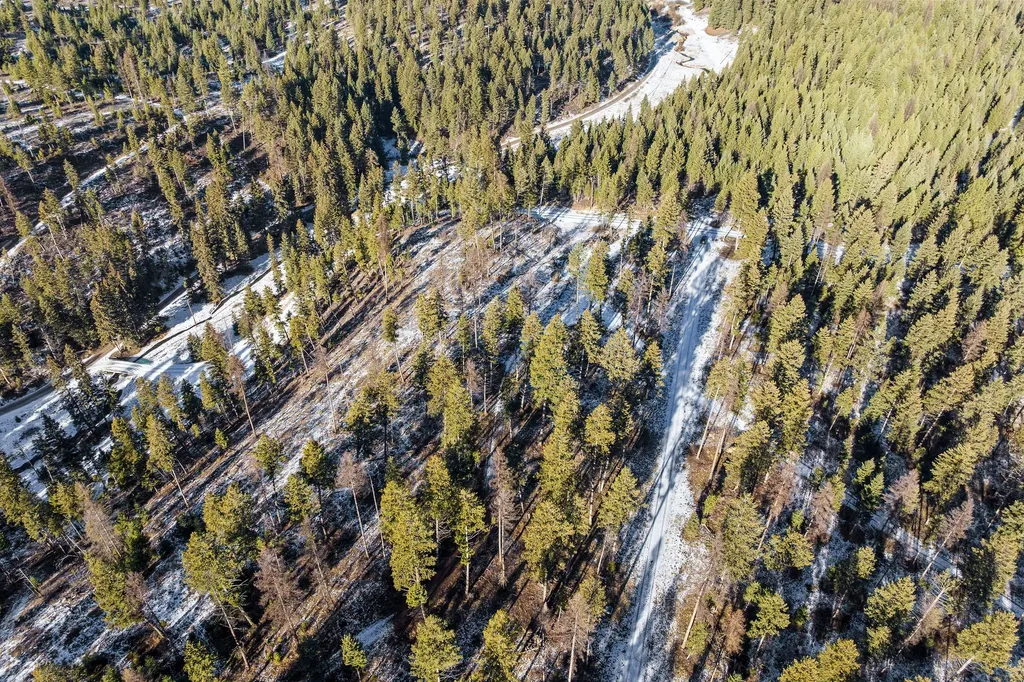 Nhn N Dayton Creek Road Proctor MT 59929